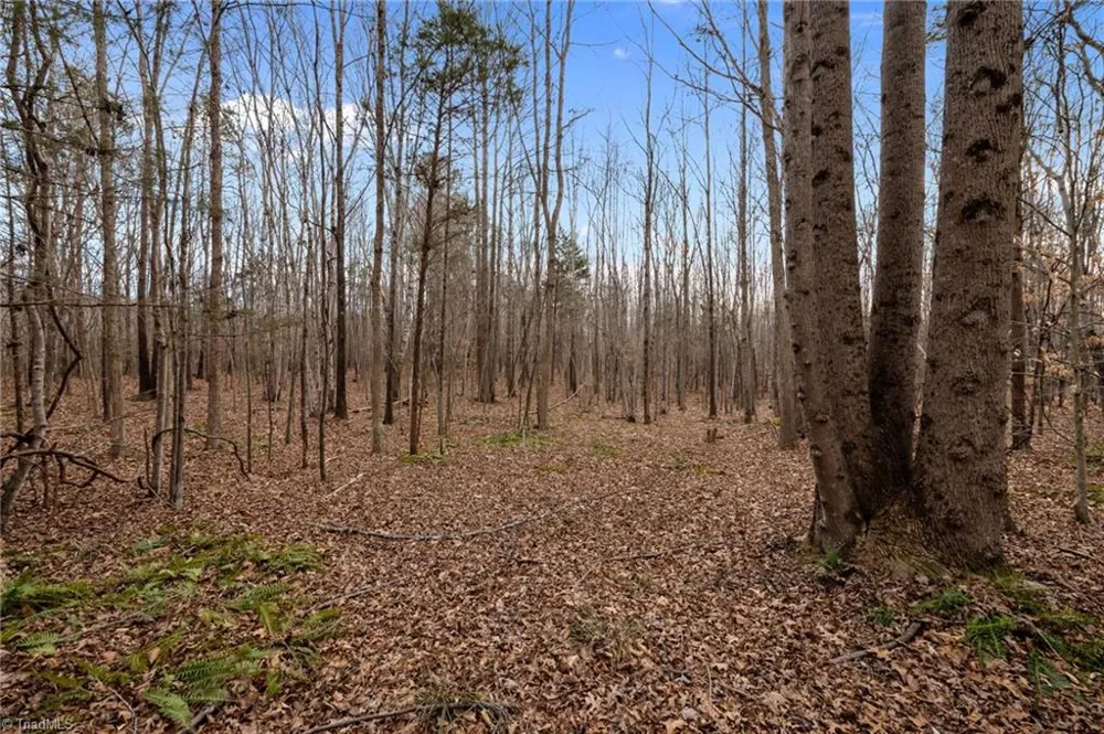 10.75 ACRES NEALS STORE ROAD Roxboro, NC 27574