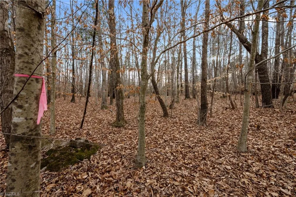 10.75 ACRES NEALS STORE ROAD Roxboro, NC 27574