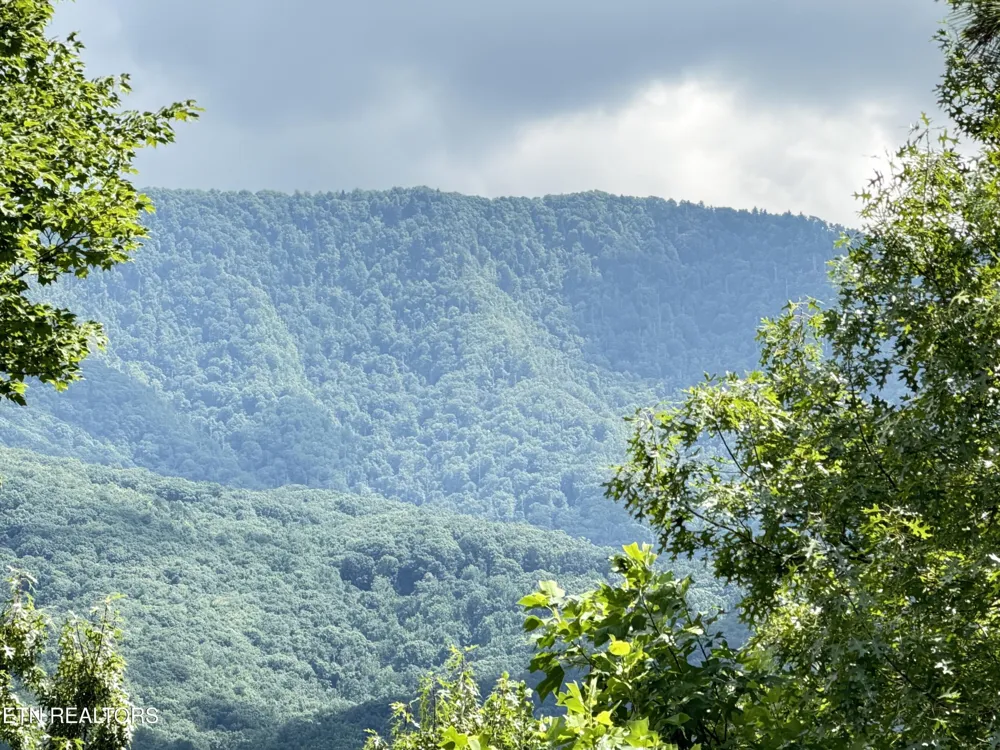 317 Matterhorn Drive Gatlinburg, TN 37738