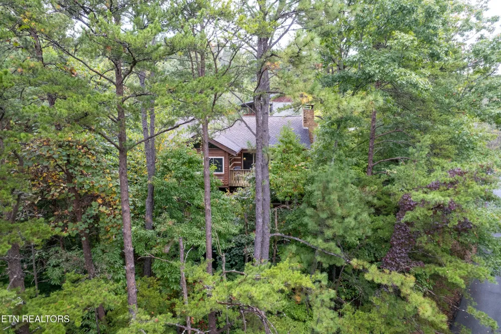 317 Matterhorn Drive Gatlinburg, TN 37738