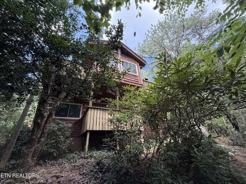 317 Matterhorn Drive Gatlinburg, TN 37738