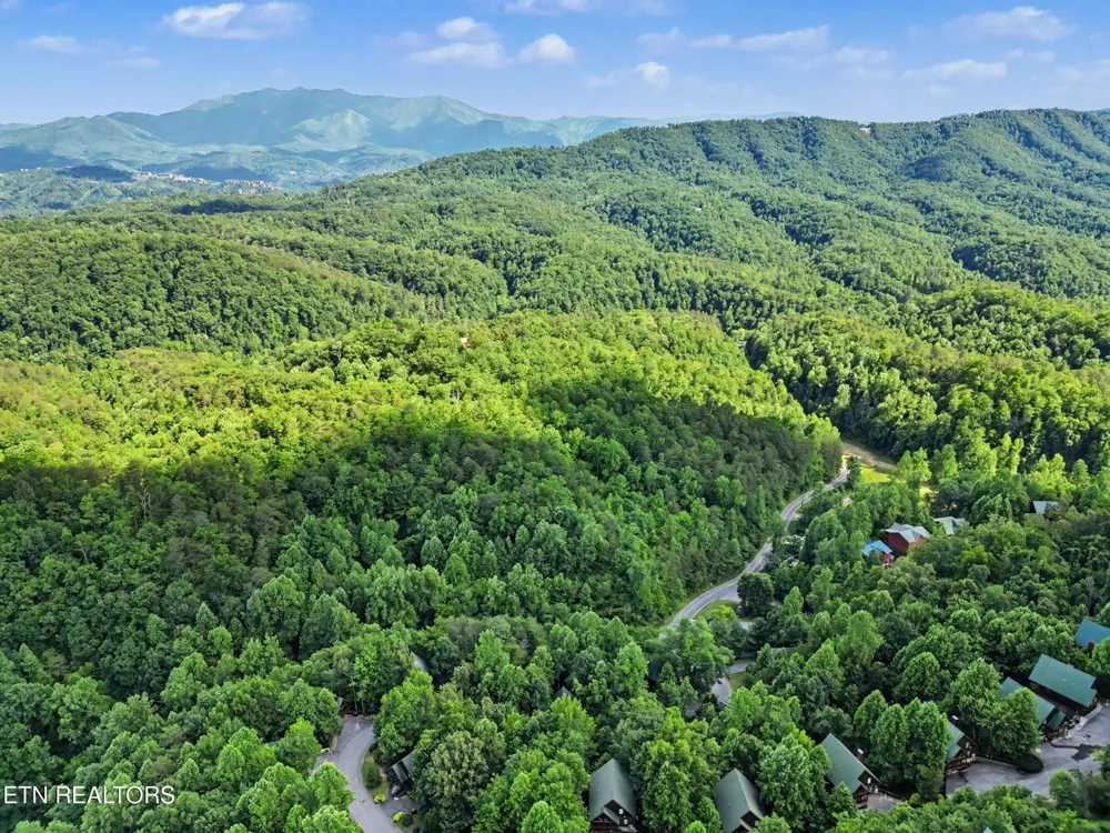 4414 Forest Vista Way Pigeon Forge, TN 37863