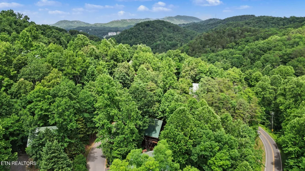 4414 Forest Vista Way Pigeon Forge, TN 37863
