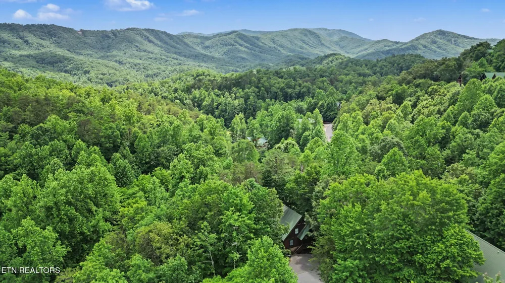 4414 Forest Vista Way Pigeon Forge, TN 37863