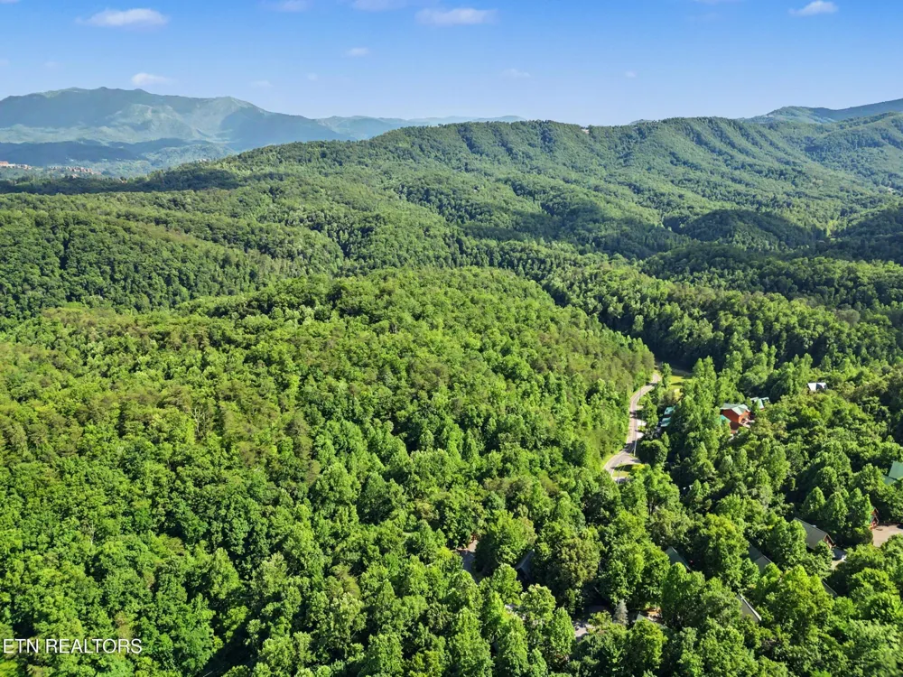 4414 Forest Vista Way Pigeon Forge, TN 37863