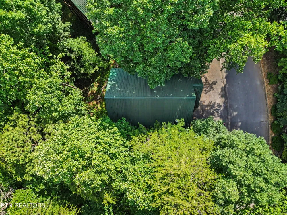 4414 Forest Vista Way Pigeon Forge, TN 37863