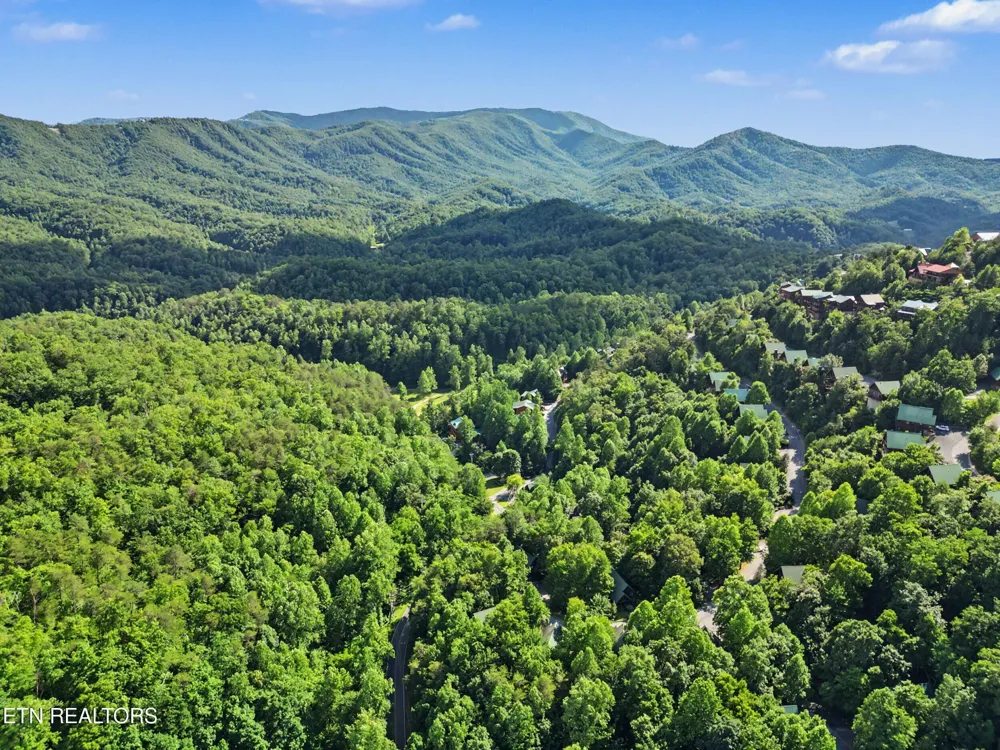 4414 Forest Vista Way Pigeon Forge, TN 37863