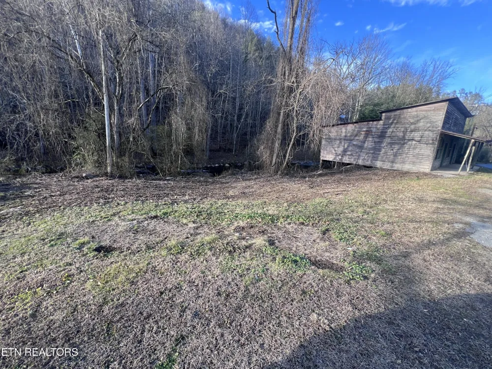 0 Blue Mill Rd Del Rio, TN 37727