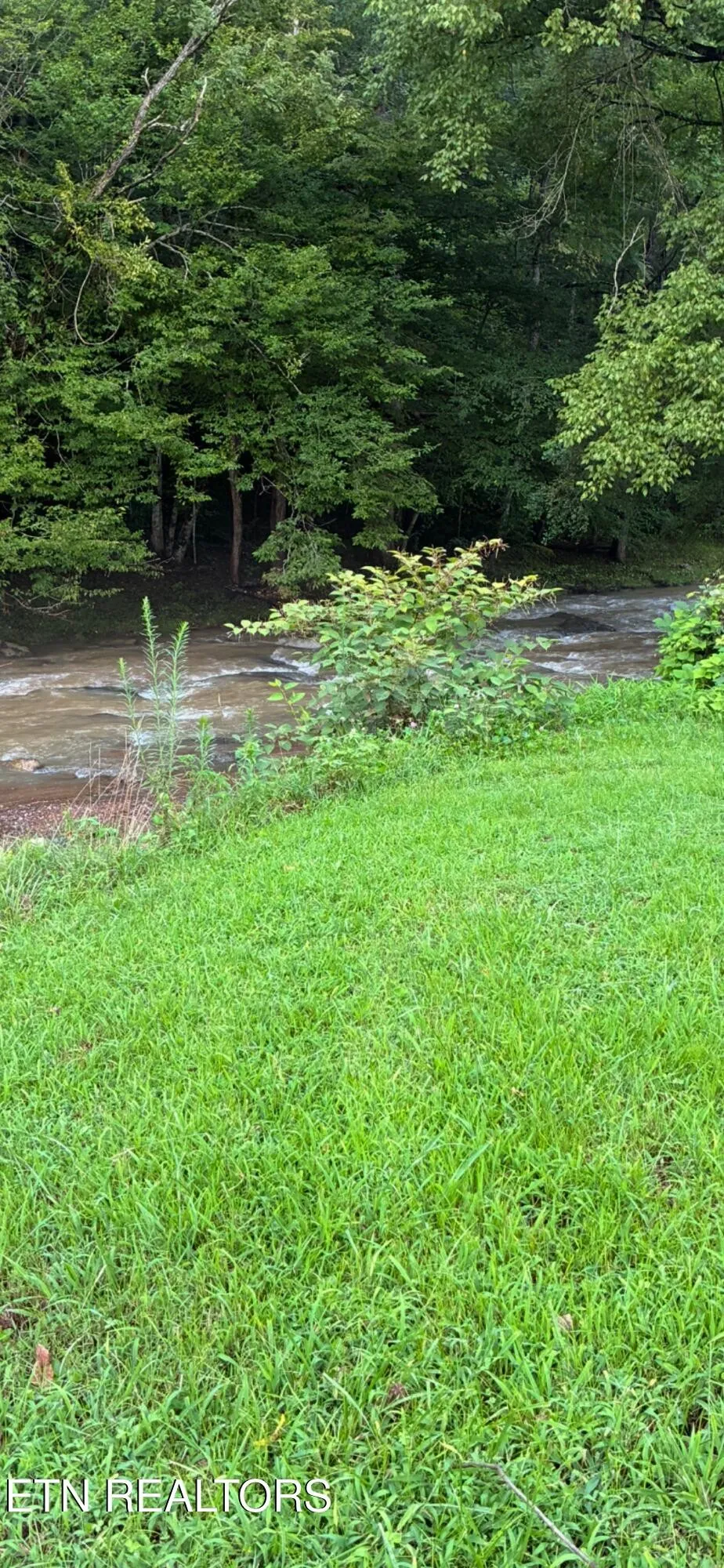 0 Blue Mill Rd Del Rio, TN 37727