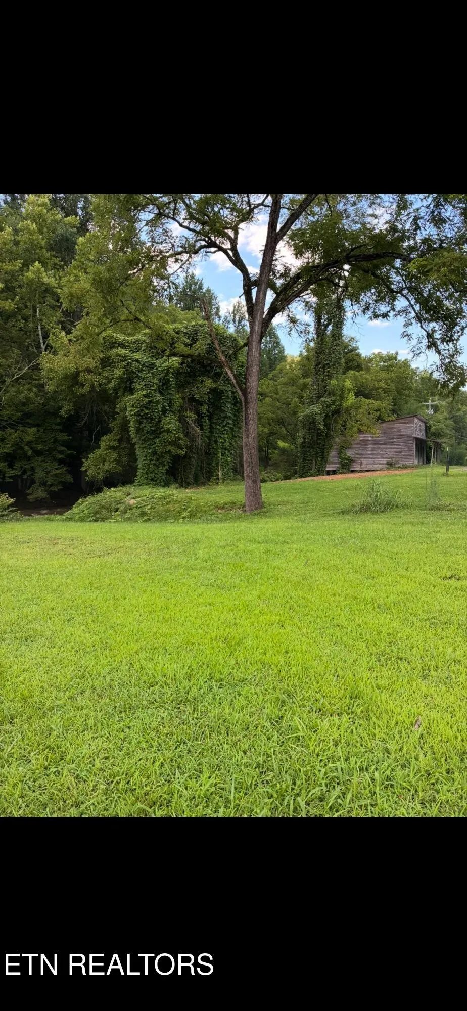 0 Blue Mill Rd Del Rio, TN 37727