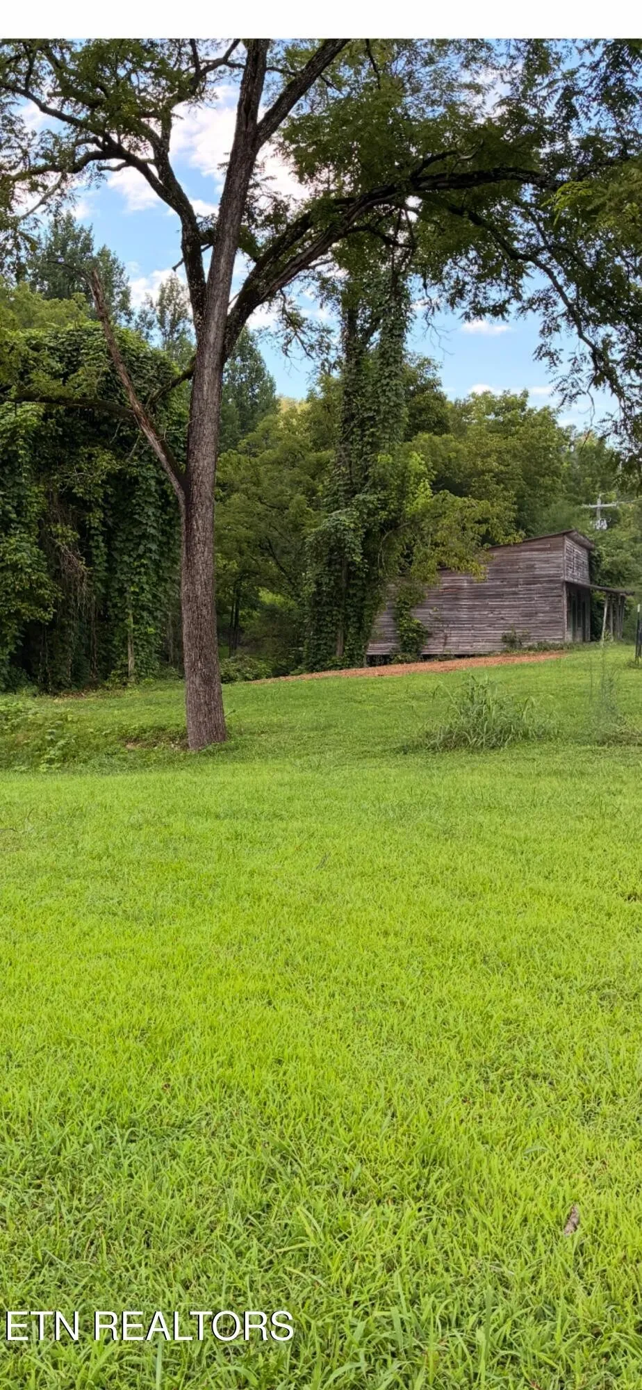0 Blue Mill Rd Del Rio, TN 37727