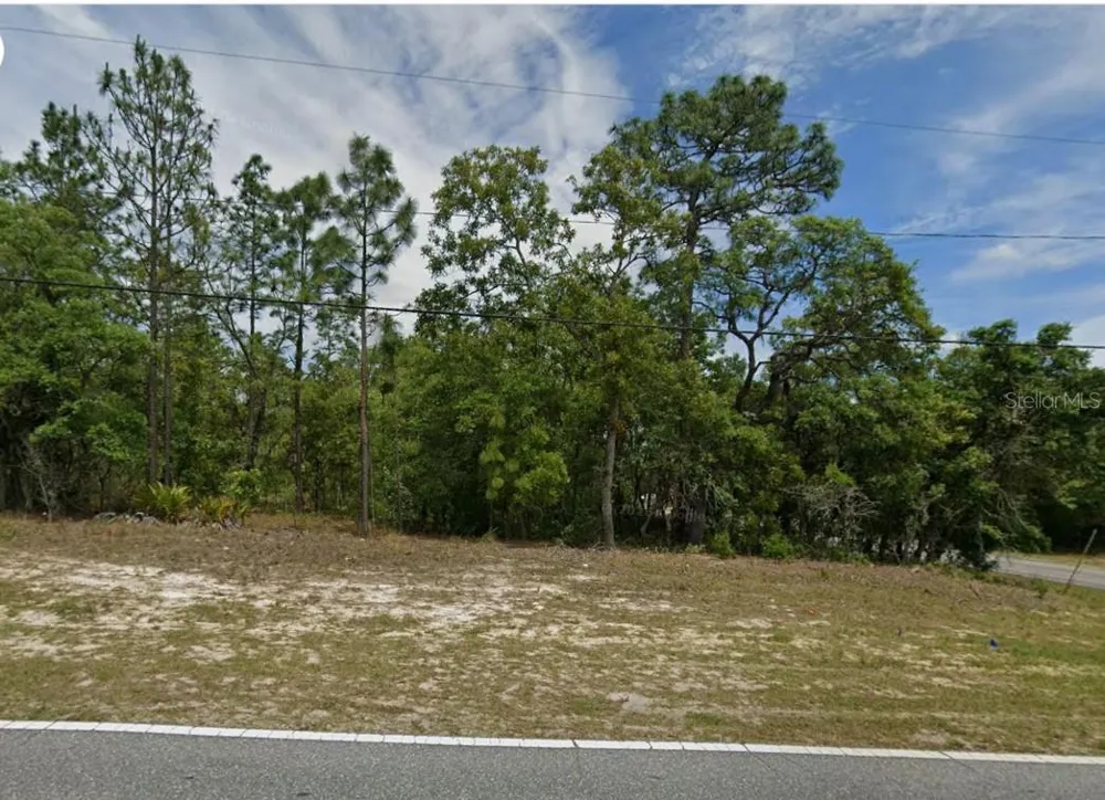 873 W HAMPSHIRE BOULEVARD Citrus Springs, FL 34434