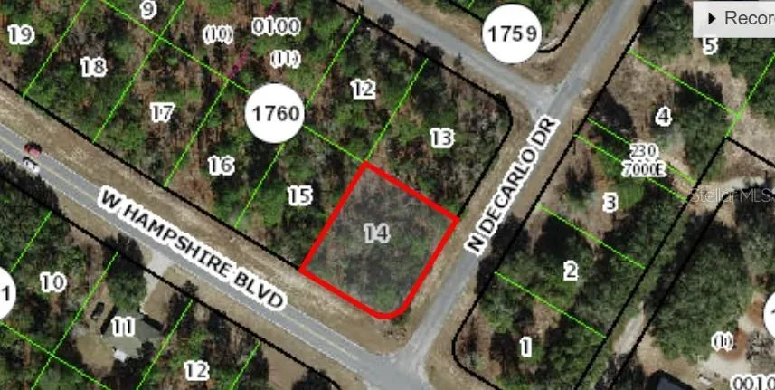 873 W HAMPSHIRE BOULEVARD Citrus Springs, FL 34434