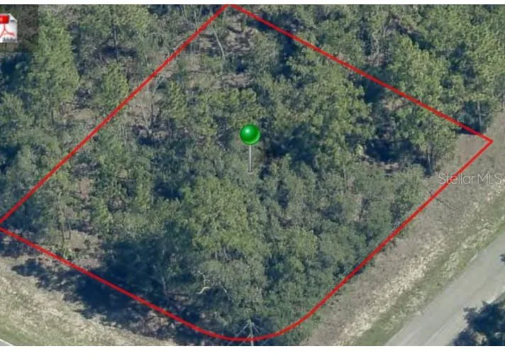 873 W HAMPSHIRE BOULEVARD Citrus Springs, FL 34434