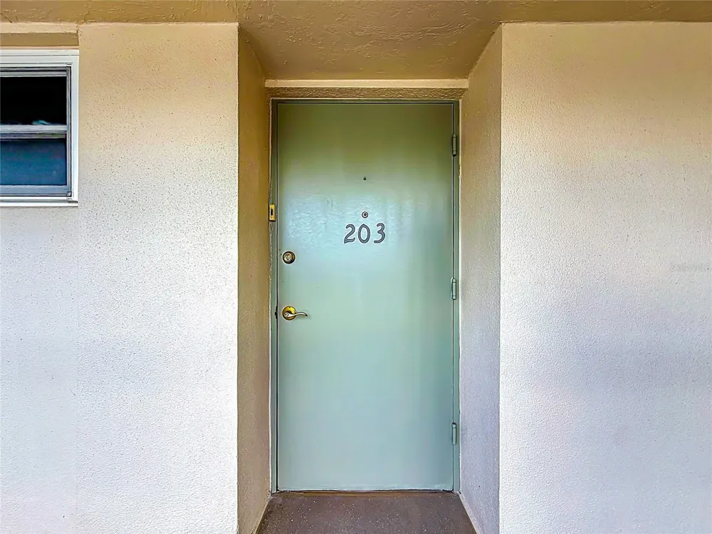 9945 47TH AVENUE #203 St Petersburg, FL 33708