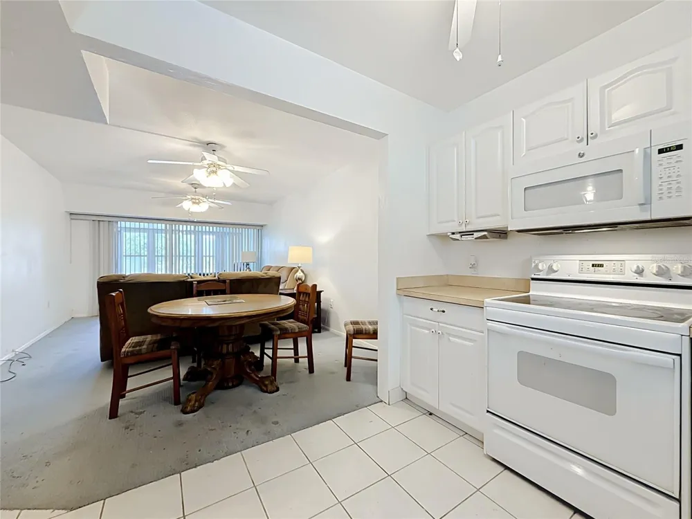 9945 47TH AVENUE #203 St Petersburg, FL 33708