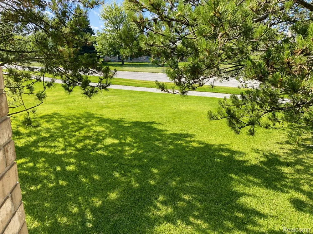 48781 Mill Bank Court Shelby Charter Township, MI 48315