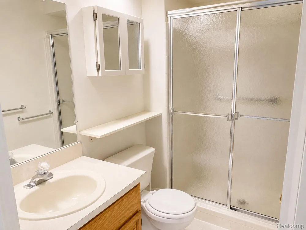 48781 Mill Bank Court Shelby Charter Township, MI 48315
