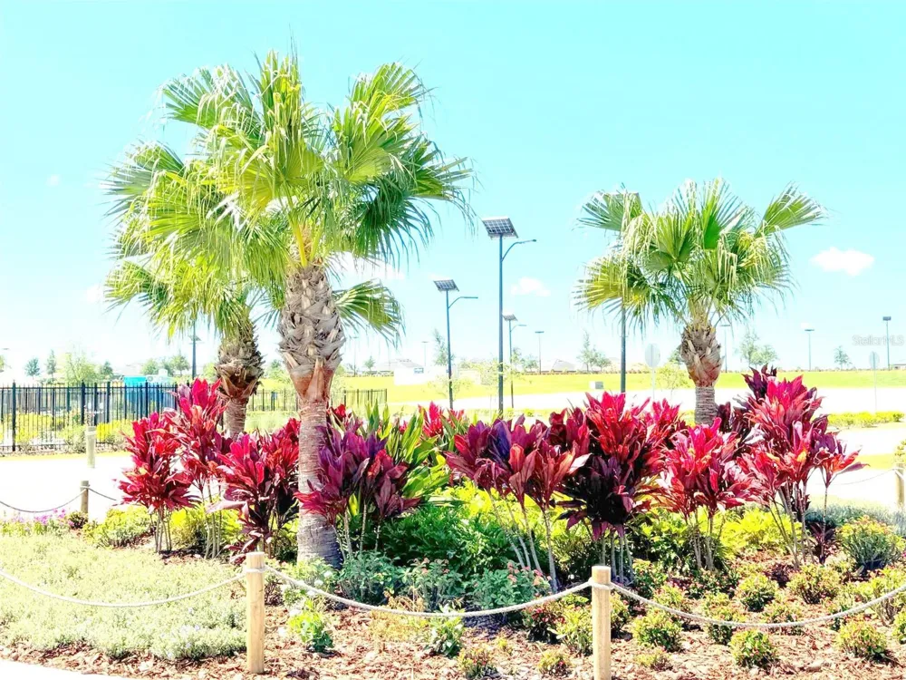11163 LINDEN DEPOT ROAD San Antonio, FL 33576