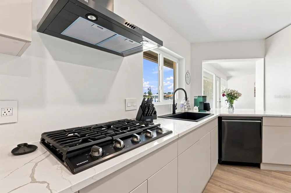 320 PALM ISLAND NE Clearwater Beach, FL 33767