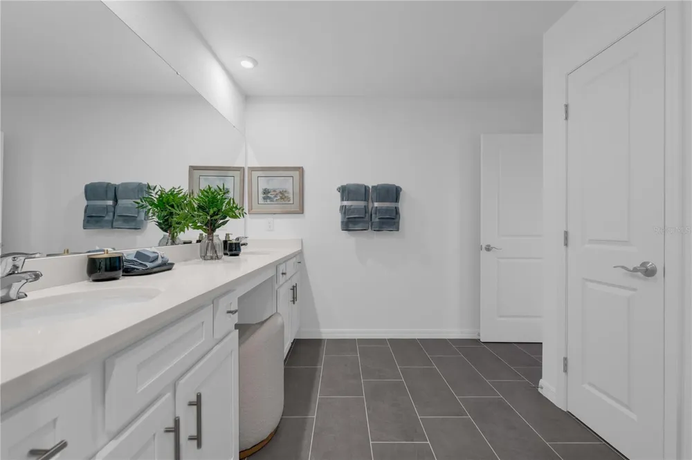 10067 MORNING MEADOWLARK TRAIL Parrish, FL 34219