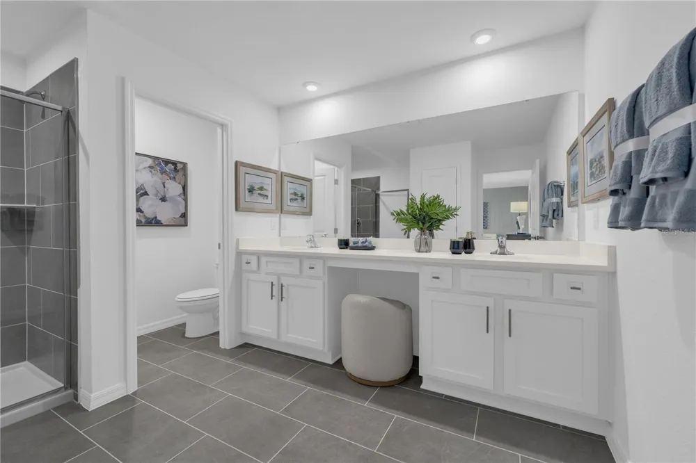 10067 MORNING MEADOWLARK TRAIL Parrish, FL 34219