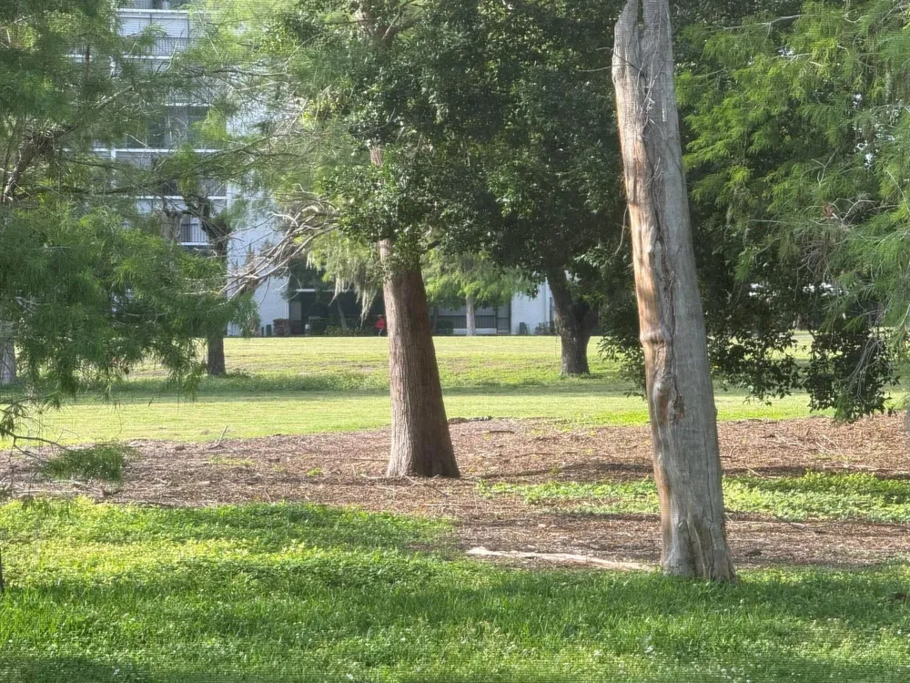 4136 Inverrary Drive #15C Lauderhill, FL 33319