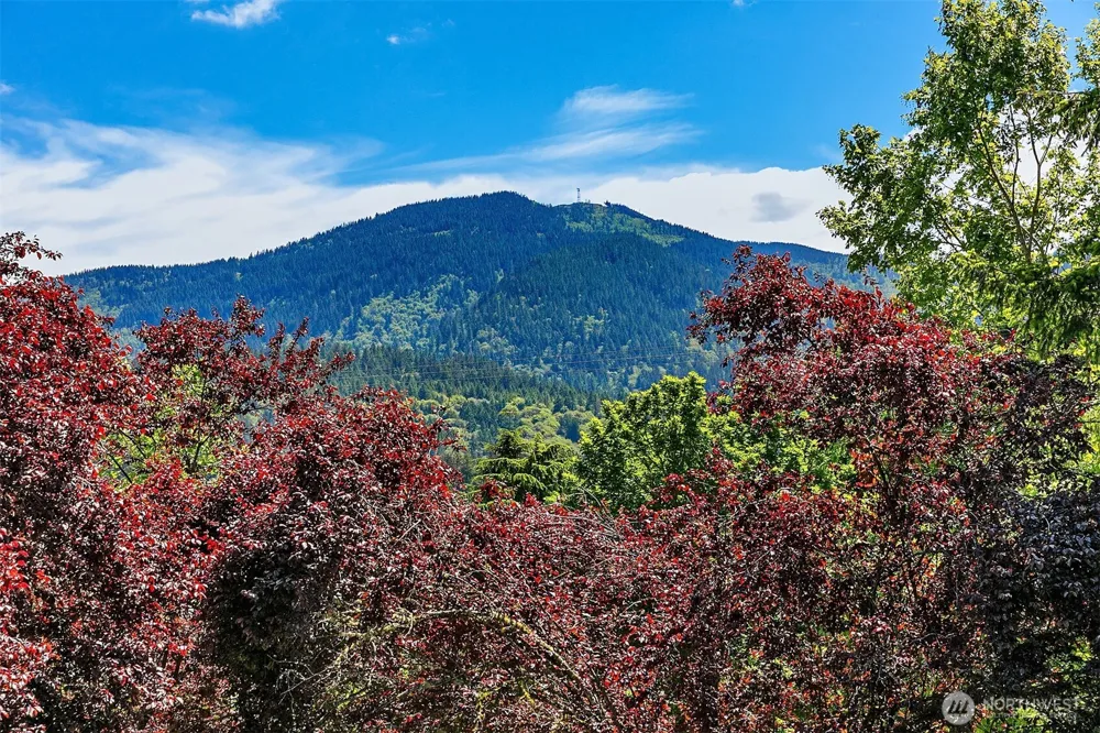 206 Mountain Park Boulevard SW #D203 Issaquah, WA 98027