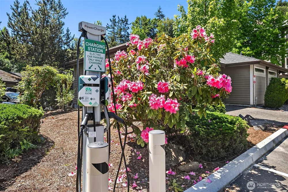 206 Mountain Park Boulevard SW #D203 Issaquah, WA 98027