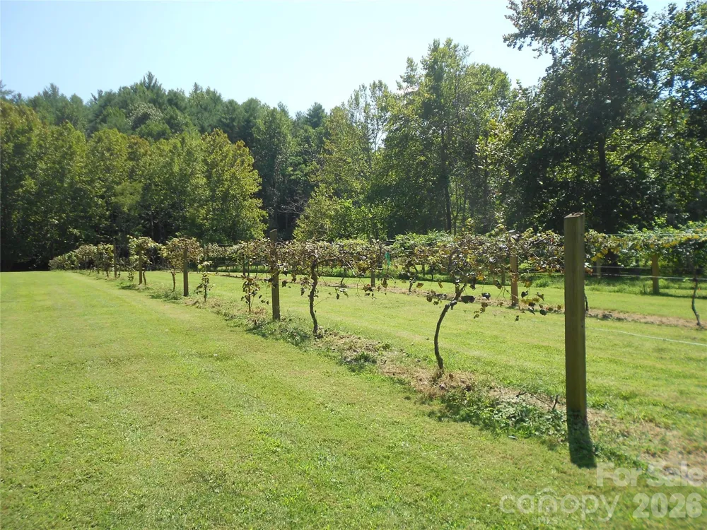 0000 Johns Ridge Parkway Lenoir, NC 28645