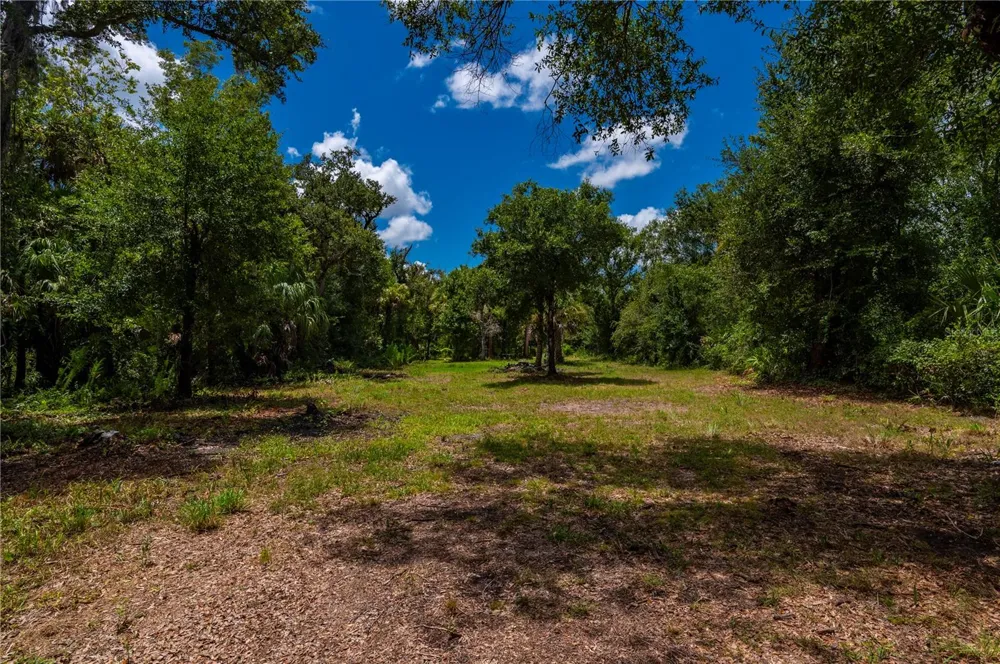 10789 SW CYPRESS BEND AVENUE Arcadia, FL 34269