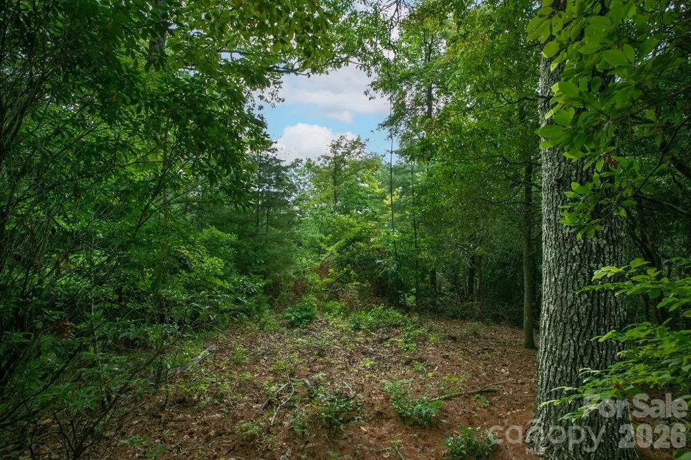 Lot 10 Emma Bri Lane #10 Hendersonville, NC 28739