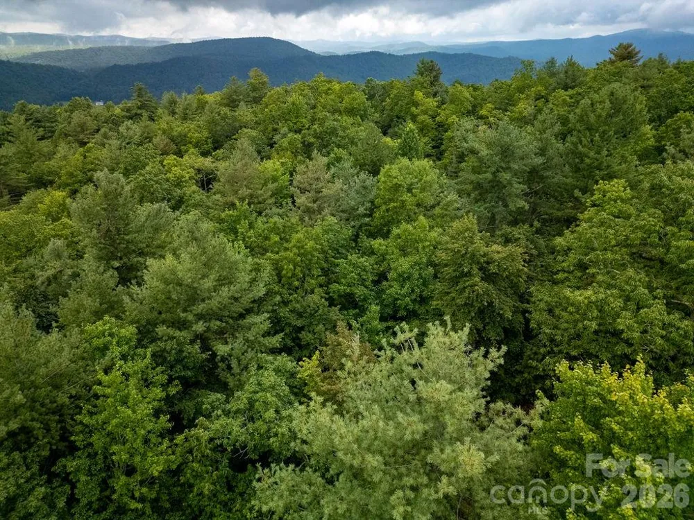 Lot 10 Emma Bri Lane #10 Hendersonville, NC 28739