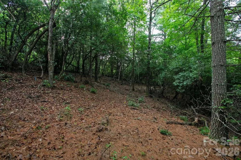 Lot 10 Emma Bri Lane #10 Hendersonville, NC 28739