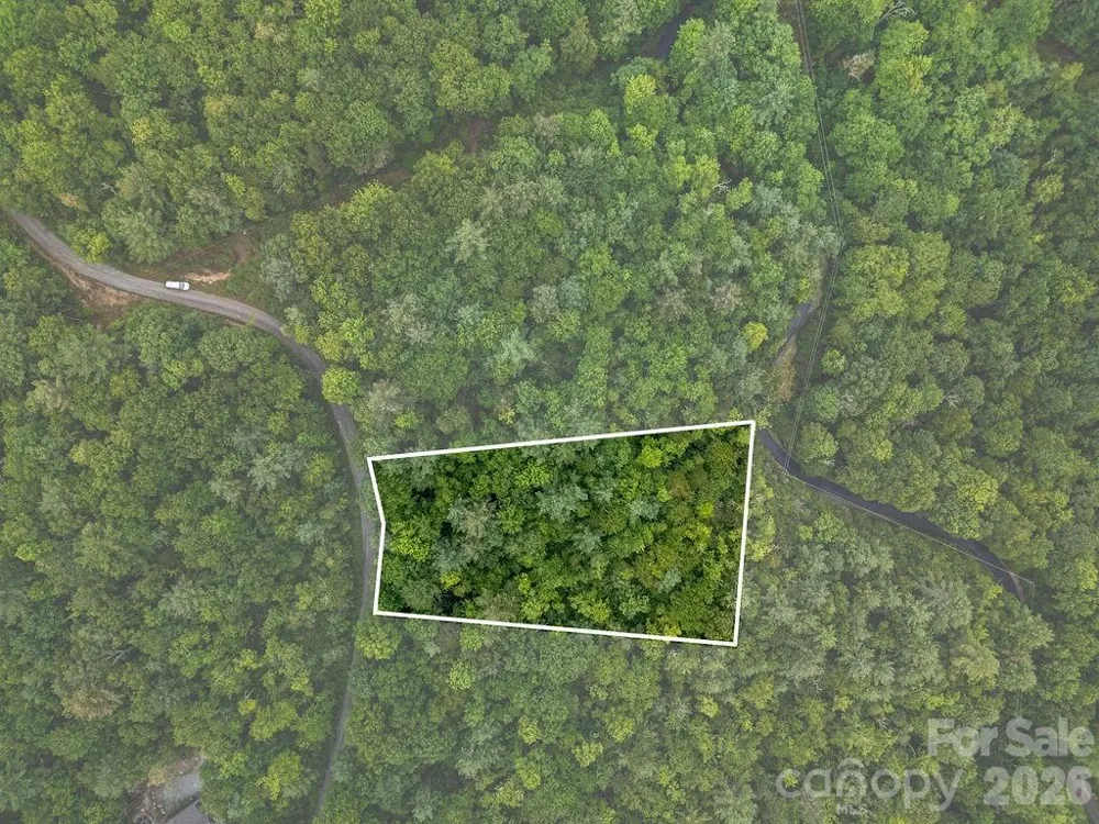Lot 10 Emma Bri Lane #10 Hendersonville, NC 28739