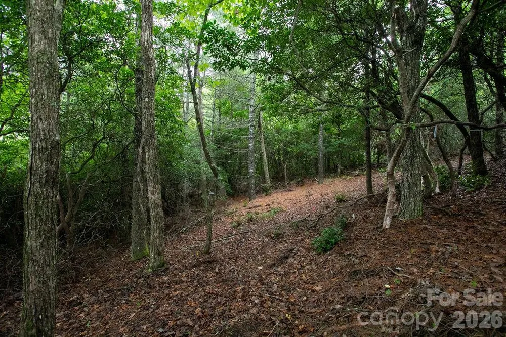 Lot 10 Emma Bri Lane #10 Hendersonville, NC 28739