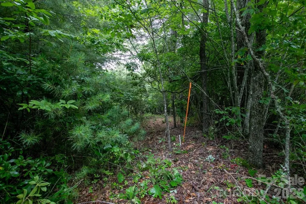 Lot 10 Emma Bri Lane #10 Hendersonville, NC 28739