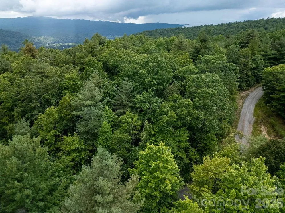 Lot 10 Emma Bri Lane #10 Hendersonville, NC 28739