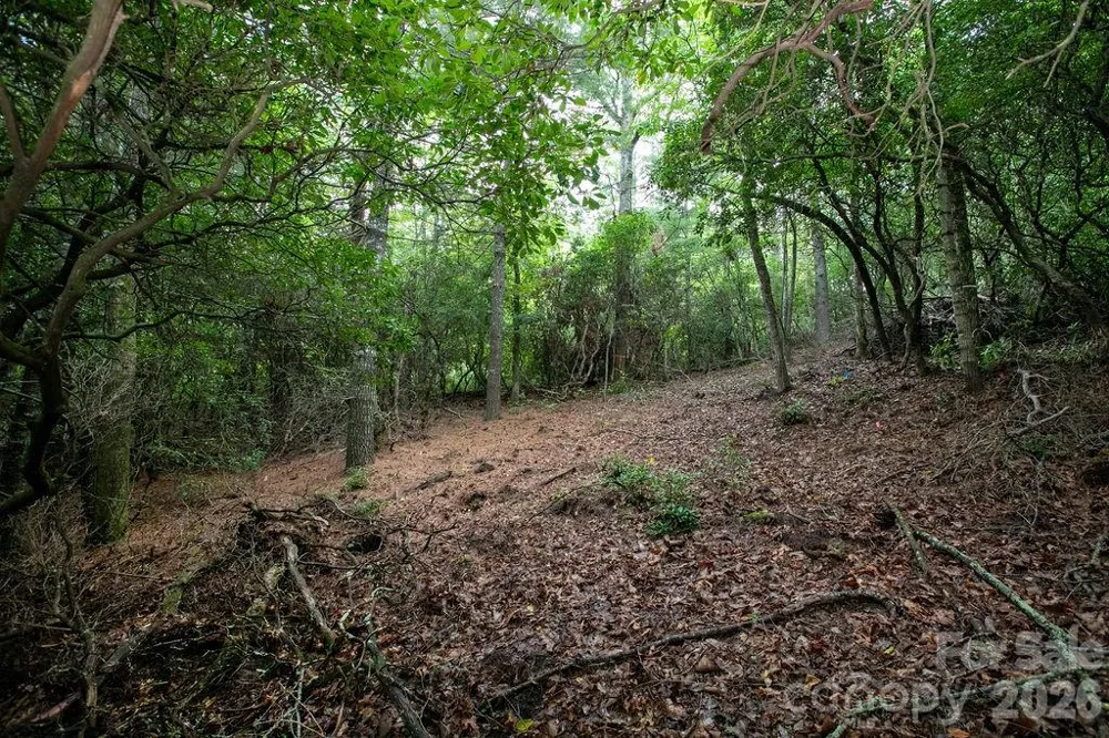 Lot 10 Emma Bri Lane #10 Hendersonville, NC 28739
