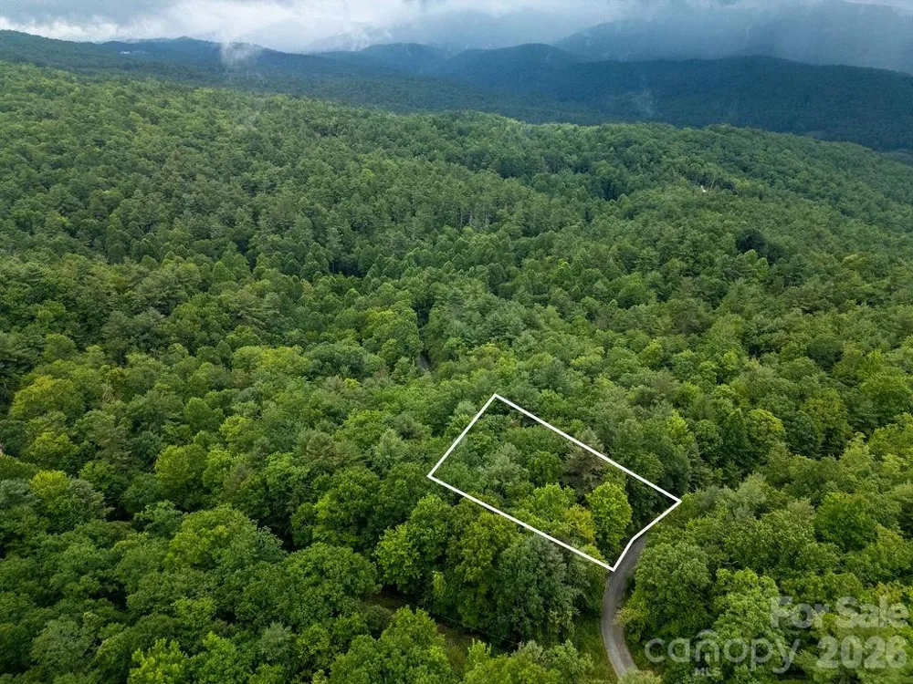 Lot 10 Emma Bri Lane #10 Hendersonville, NC 28739
