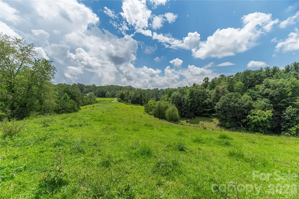 99999 Little Bo Lane Leicester, NC 28748