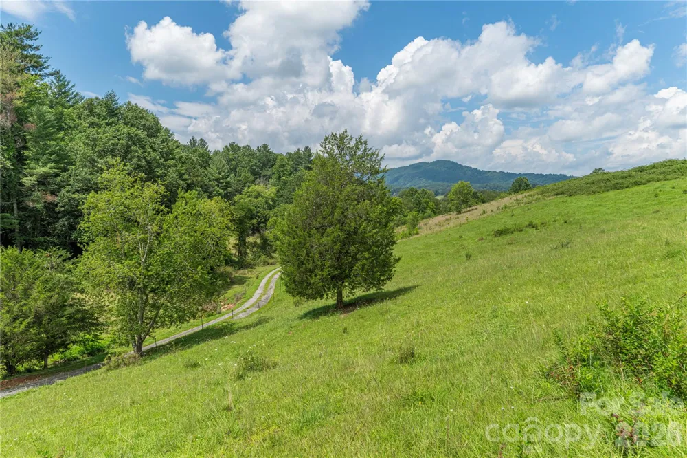99999 Little Bo Lane Leicester, NC 28748