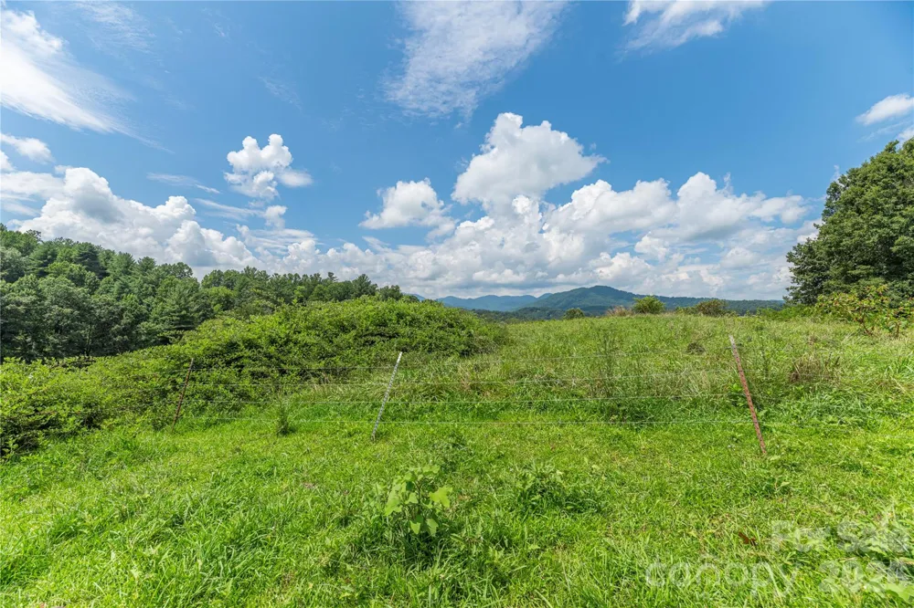 99999 Little Bo Lane Leicester, NC 28748