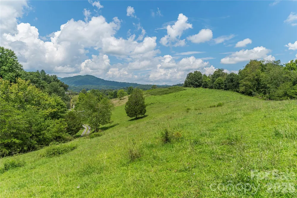 99999 Little Bo Lane Leicester, NC 28748