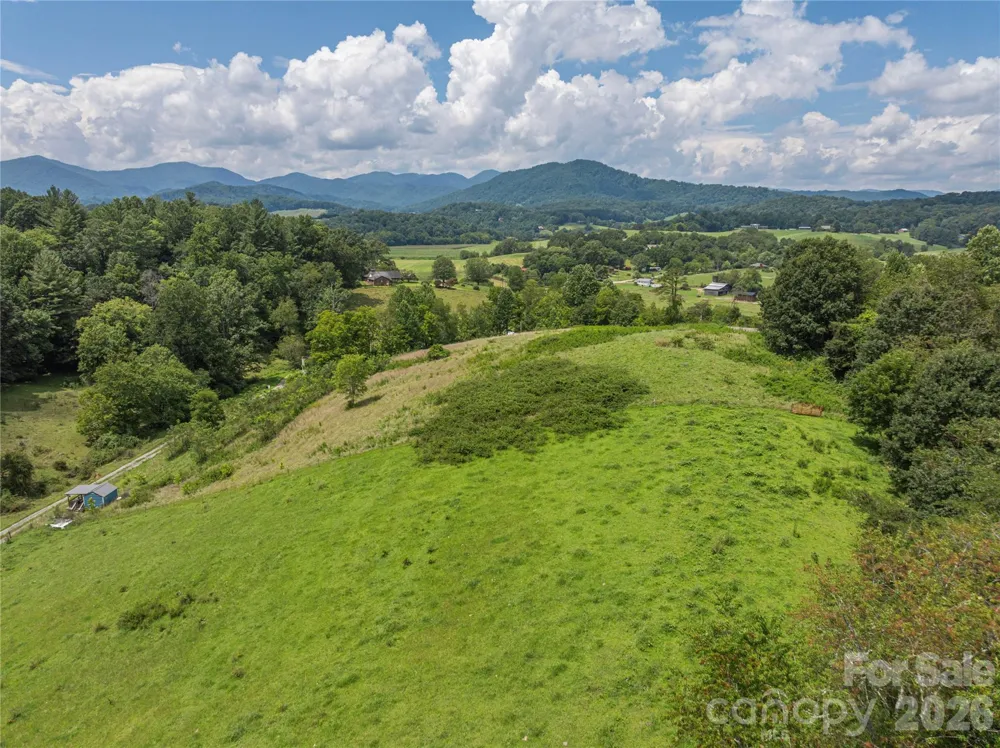 99999 Little Bo Lane Leicester, NC 28748