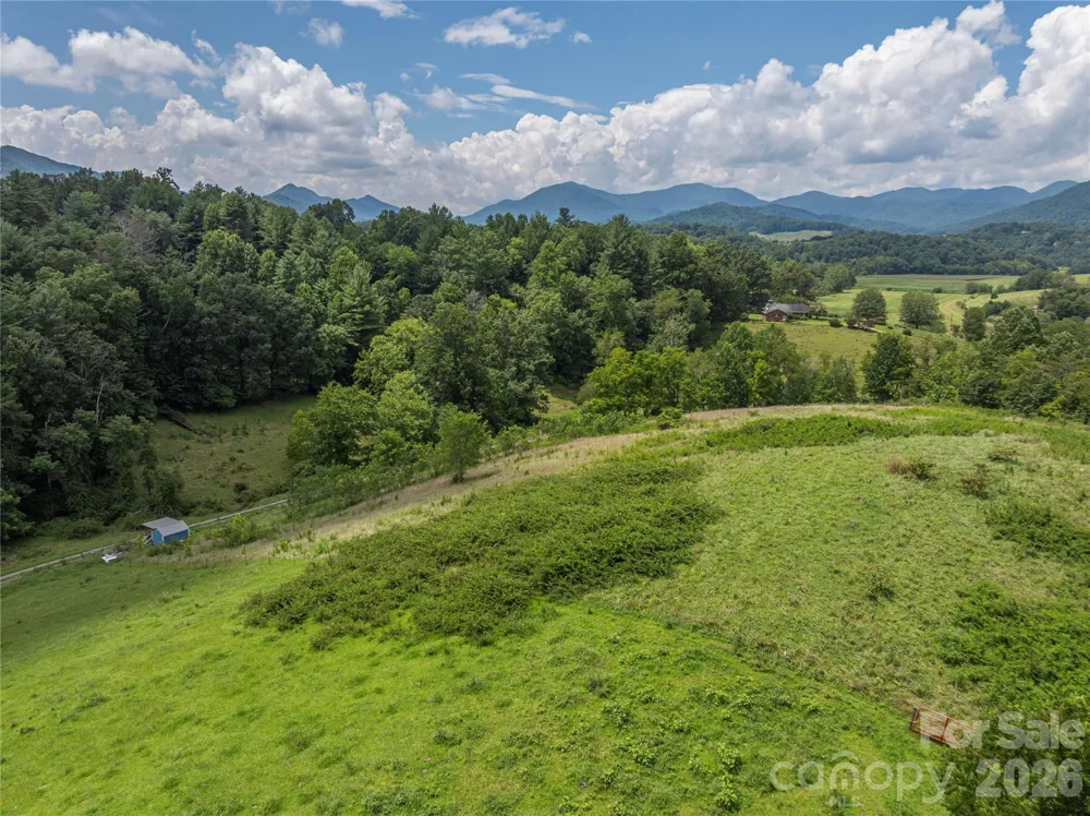 99999 Little Bo Lane Leicester, NC 28748