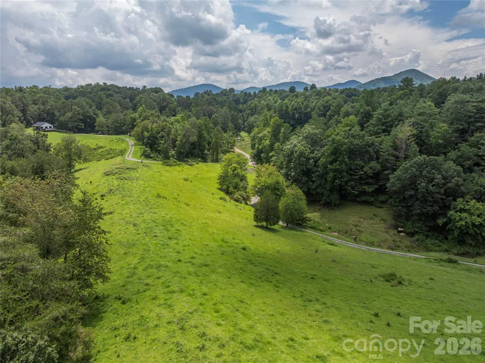 99999 Little Bo Lane Leicester, NC 28748