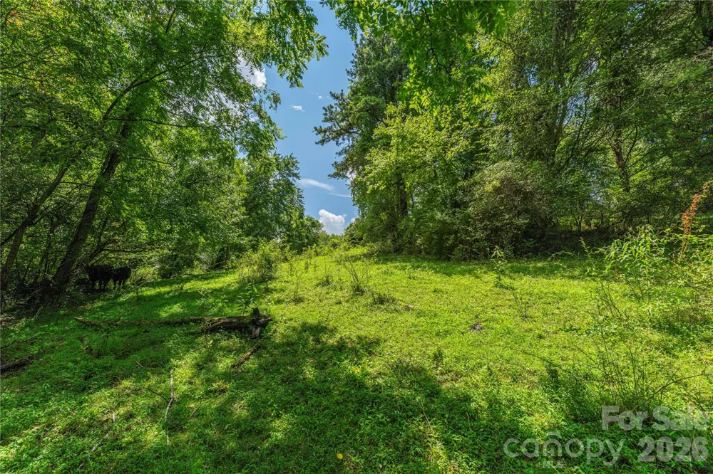 99999 Little Bo Lane Leicester, NC 28748