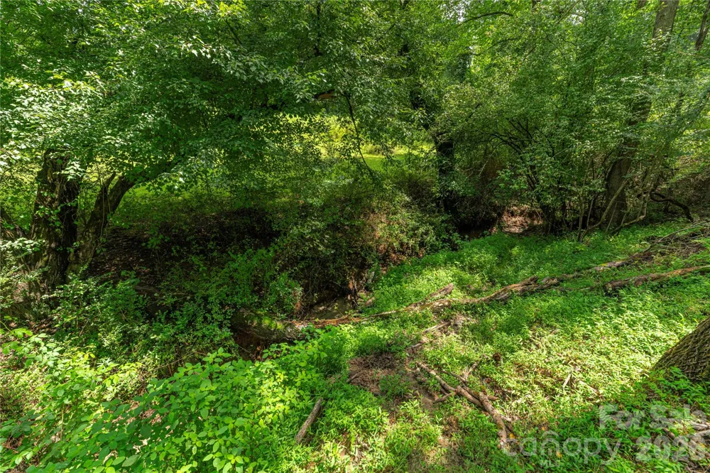 99999 Little Bo Lane Leicester, NC 28748