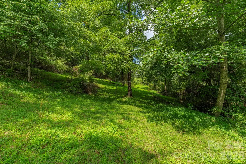 99999 Little Bo Lane Leicester, NC 28748